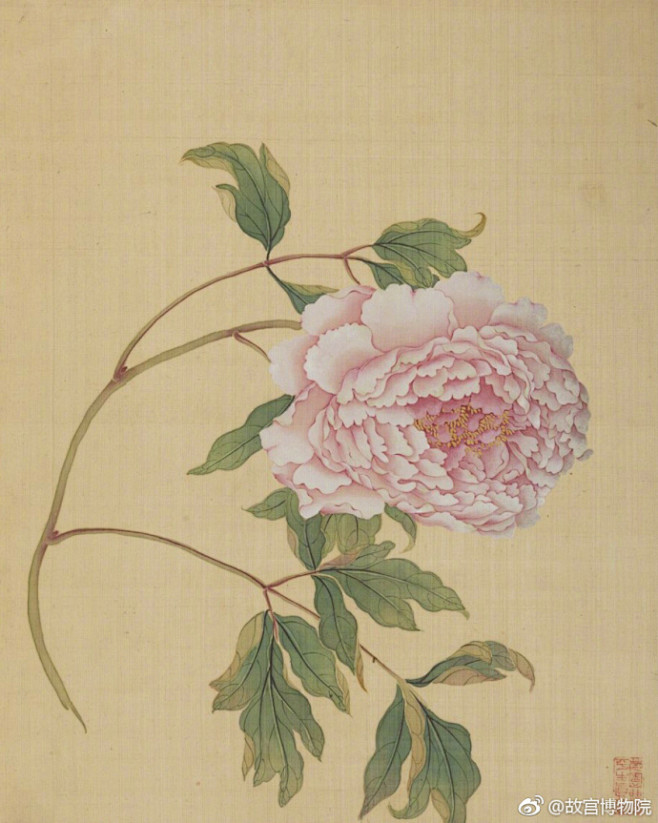 《牡丹十六种》册由清代宫廷画家蒋廷锡绘于...