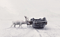 General 1920x1200 car vehicle winter animals accidents deer snow Martin Stranka road photography snowing upside down crash