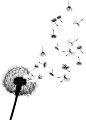 Considering a dandelion tattoo that says "resilient" on it. For my dad's side of the family.