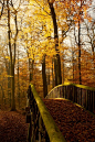 秋季桥，赫布斯特，德国