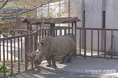 Heyu998采集到北京动物园:北京印象之