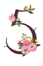 png彩铅鲜花文字玫瑰数字设计 创意花朵装饰艺术字 阿拉伯数字   5
@冒险家的旅程か★