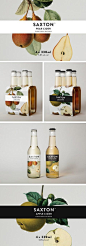 Saxton Cider Bottle and 4 Pack Packaging Design