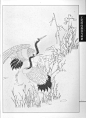 《工笔画线描动物画谱》之仙鹤篇