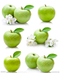 苹果设计图__水果_生物世界