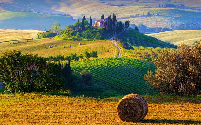 意大利，托斯卡纳，自然景观，田野，草堆，...