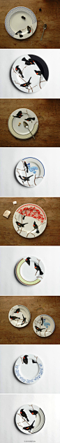 owl【盛美】美国Jason Miller工作室的瓷器作品“seconds”，尝试打破餐具图案设计的陈规。引用设计者自己的陈述:"Conventions are for suckers."谁来给个好点儿的翻译？