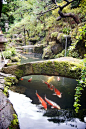 All sizes | Moss covered stone bridge in Japanese garden over koi carp pond | Flickr - Photo Sharing!: 