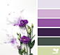 Design Seeds : Your daily dose of inspiration ... for all who love color.