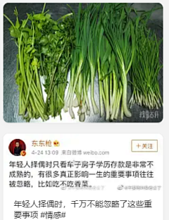 爱小狗采集到吃货