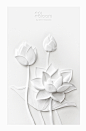 Paper Sculpture : White Thai Flowers : From papers to flowers.  