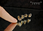 来自 Reve Miniatures 的惊人微型动物雕塑，使用软陶和毛毡手工制作。真正意义上的栩栩如生，几乎让人怀疑是PS的照片。（reveminiatures.deviantart.com）【相关：http://weibo.com/3931672306/BhTkAi1G3 】
