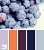 Design Seeds®: For All Who Love Color