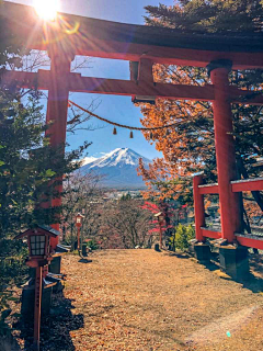 里雾采集到日本