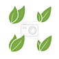 Leaf Pair Icon Vector Illustrations on Both Solid #天然#