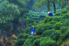 少明仔采集到一处风景