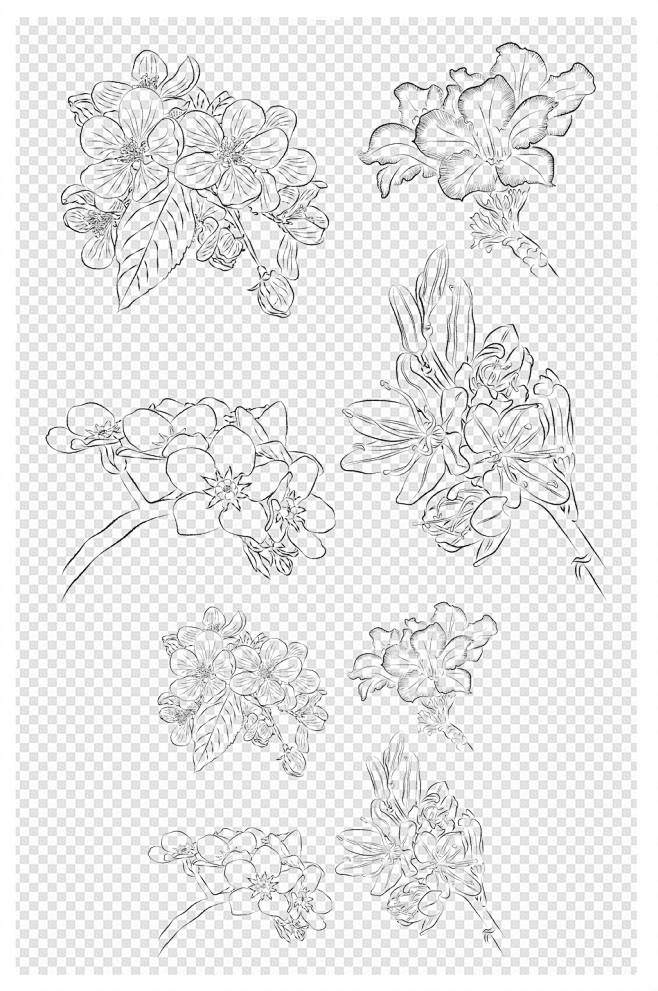 植物花朵手绘线稿