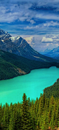 Peyto Lake, Banff National Park, Canada | Yes it is really that blue! | Directions & Travel Tips: 