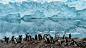 南极探险：最原始美丽的世界_旅途之美