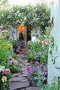 Romantic cottage garden...  浪漫的村舍花园…