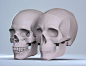 Planes of the Skull, Gusztav Velicsek : The planes of the skull are the simplified cranial and facial bones organised into basic information & a system of proportions. The major shapes are converted into basic planes for easier understanding.