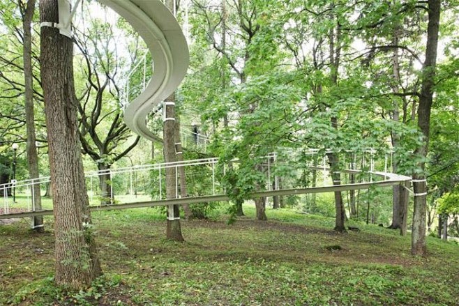 A Path in the Forest...