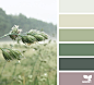 Design Seeds : Design Seeds color palettes ... posted daily for all who love color.