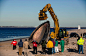 纽约：研究人员使用重型机械检查一头在女王码头被冲上岸的死去的长须鲸尸体