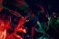 AMG Car Interior Cyberpunk experimental jungle Jungle Inside mercedes neon plants Synthwave