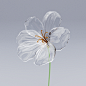 3D 3D model 3d modeling blender cinema4d flower 3d glass glassmorphism Maya Nature