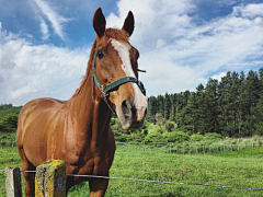 ccc7cool世界采集到R-011horse square