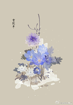 一颗迷失的心采集到Draw植物花草绘画