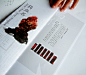 中式艺术节画册设计欣赏(3)-画册设计-设计-艺术中国网