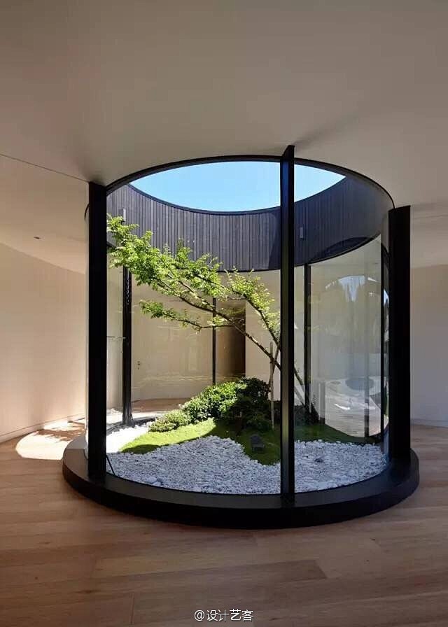 【家里天井中的“宠物树”…】#设计图舍-...