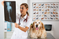Veterinary clinic by 135pixels Eduardo Gonzalez on 500px
