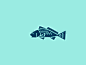 Fish animation v1