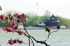 Passnk采集到旅游,风起云涌颐和园, 