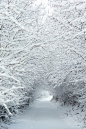 Snow Tunnel