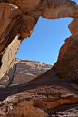 【约旦6】Wadi Rum游牧民族的晚餐, FISHER OPERA THEATRE旅游攻略
