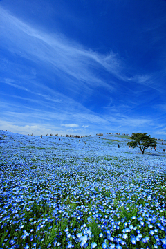 李沉舟采集到美景