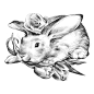 手绘线稿素描植物动物兔子花卉鸡蛋插图PNG+PSD设计元素  (3)