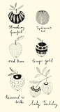 Apple guide. Katt Frank illustration.