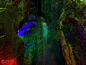 紫微洞 - 巢湖市风景图片特写第1辑 (22) - @™旅遊點滴╮