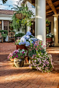 Gorgeous patio and flowers