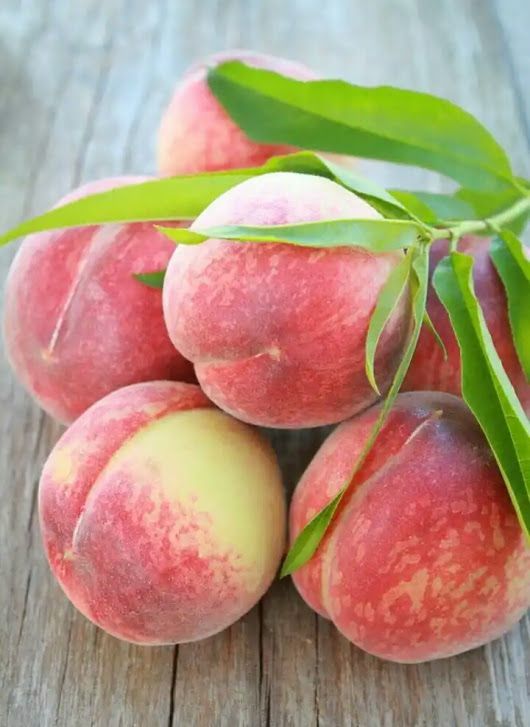 ffb63331eae08a6c89ef5e16446d81bed8540c26c7de-B3b7co