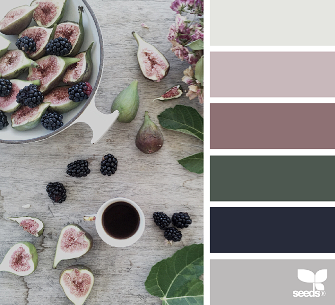 { foraged hues } ima...