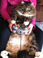 Skittles helping play video games.