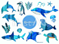 Illustration, sea, a whale, a shark, JPG, PNG and AI