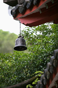 ANUG采集到素材