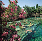 Pamukkale, Turkey